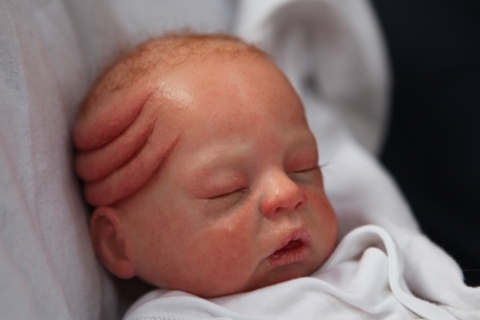 Agi Haines' Transfiguration