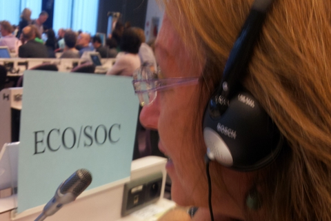 Sue Denham at the EU