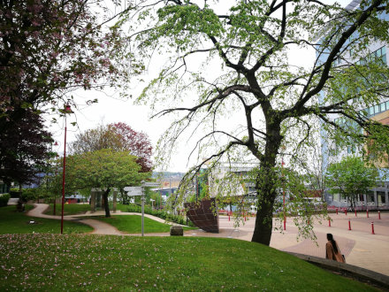 Kathryn B. Francis is now a lecturer in Bradford